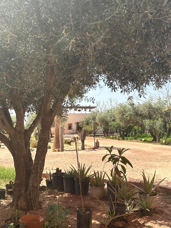 Upupa De L'Atlas Ouled el guerne Exterior foto
